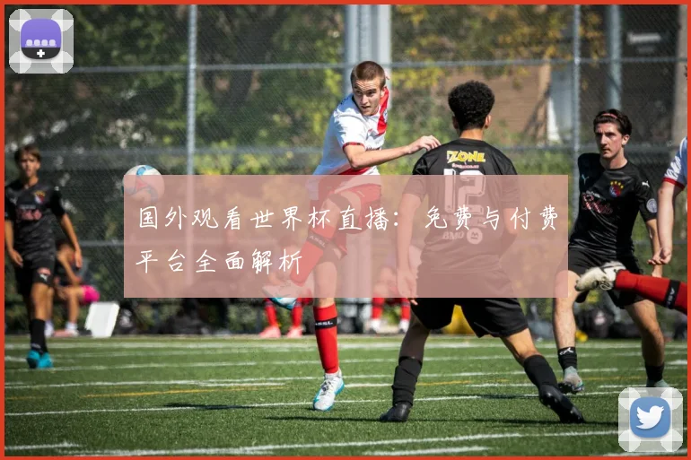 国外观看世界杯直播：免费与付费平台全面解析
