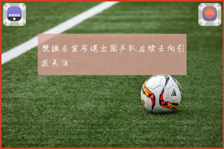 樊振东宣布退出国乒队后续去向引发关注