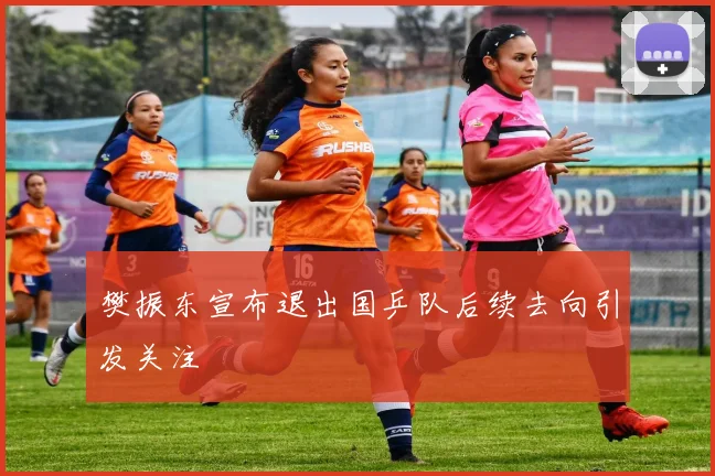 樊振东宣布退出国乒队后续去向引发关注