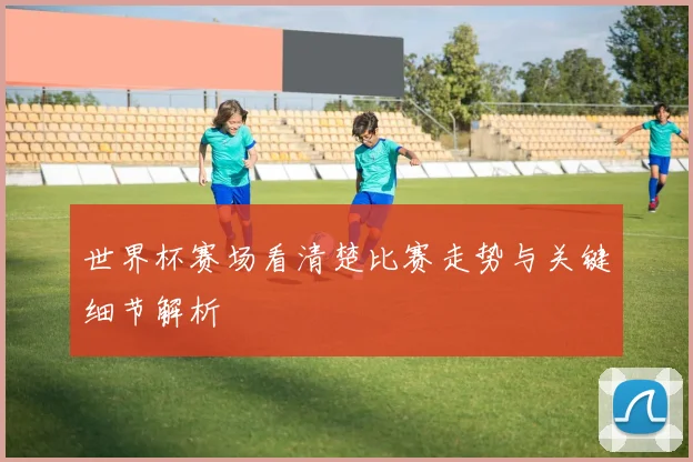世界杯赛场看清楚比赛走势与关键细节解析